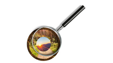 Search Audit Reports